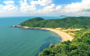 NV toàn cảnh
