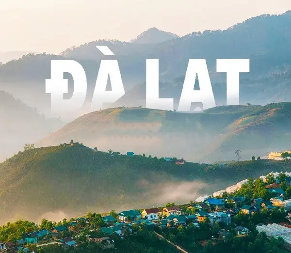 Toàn cảnh